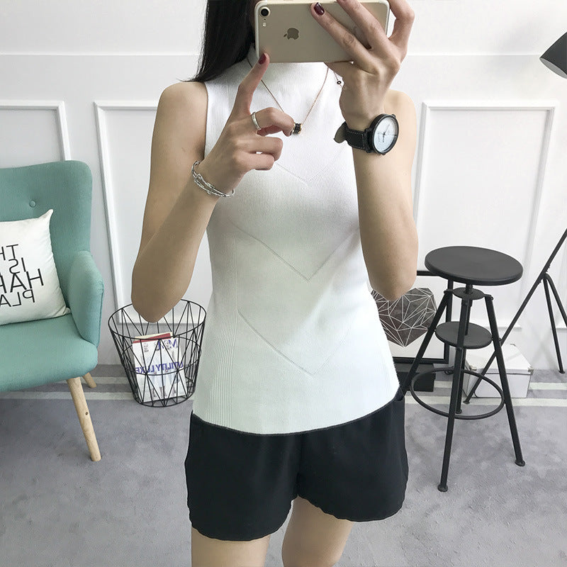 2020 spring women's wholesale Korean version of the half-high collar needle bottoming shirt female winter sleeve vest slim slim sweater