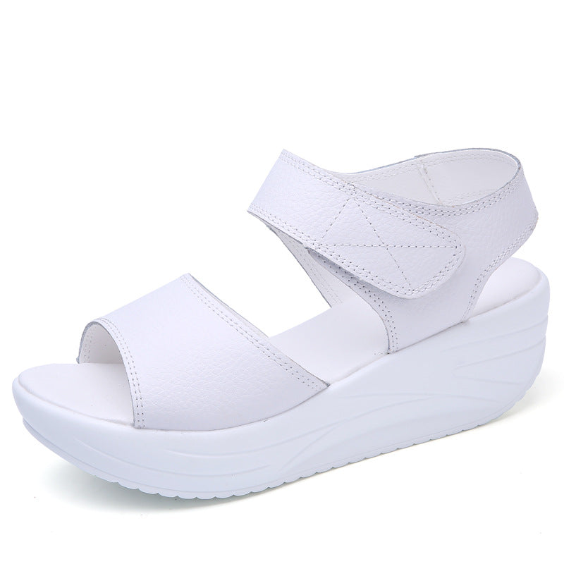 886907805-1